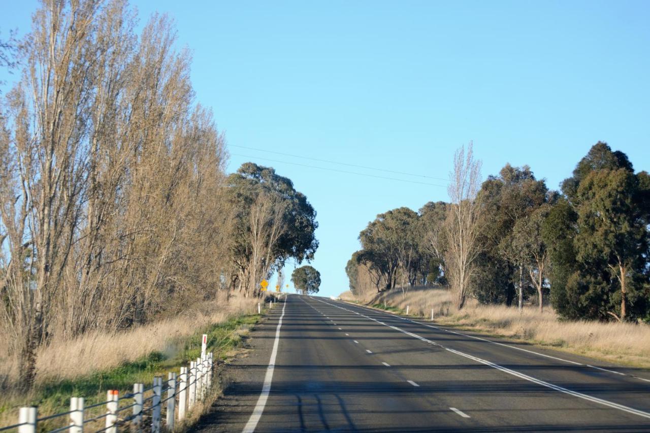 Civic Motor Inn Cowra Luaran gambar