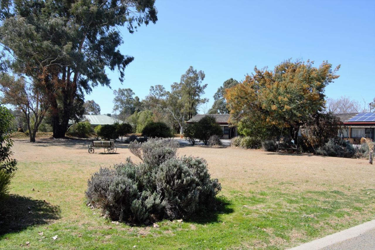 Civic Motor Inn Cowra Luaran gambar